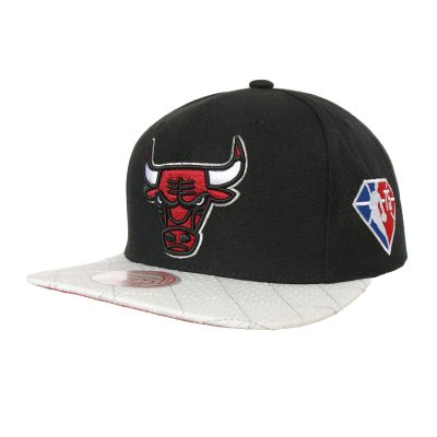 Mitchell & Ness NBA Chicago Bulls 75Th Platinum Snapback - Black - Cap